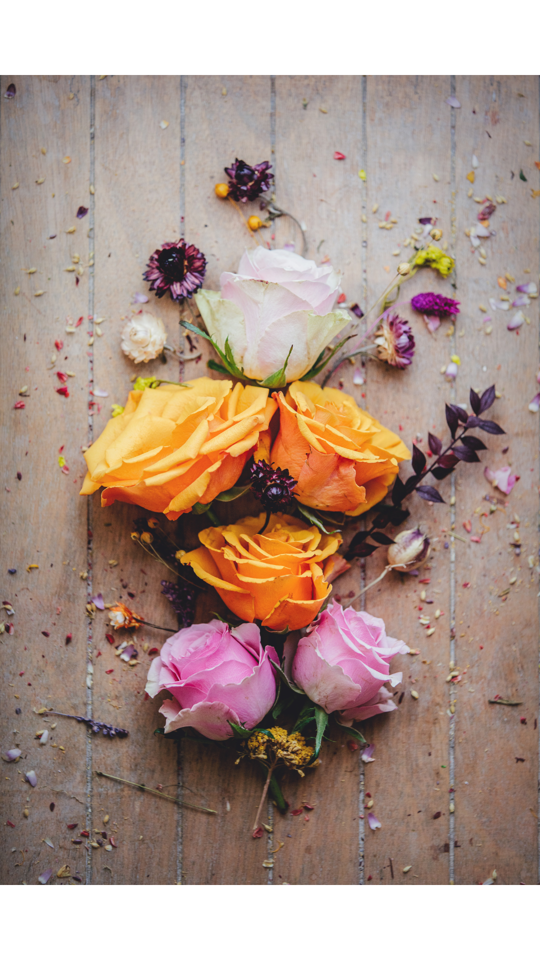 possibility session, intuitive life coaching